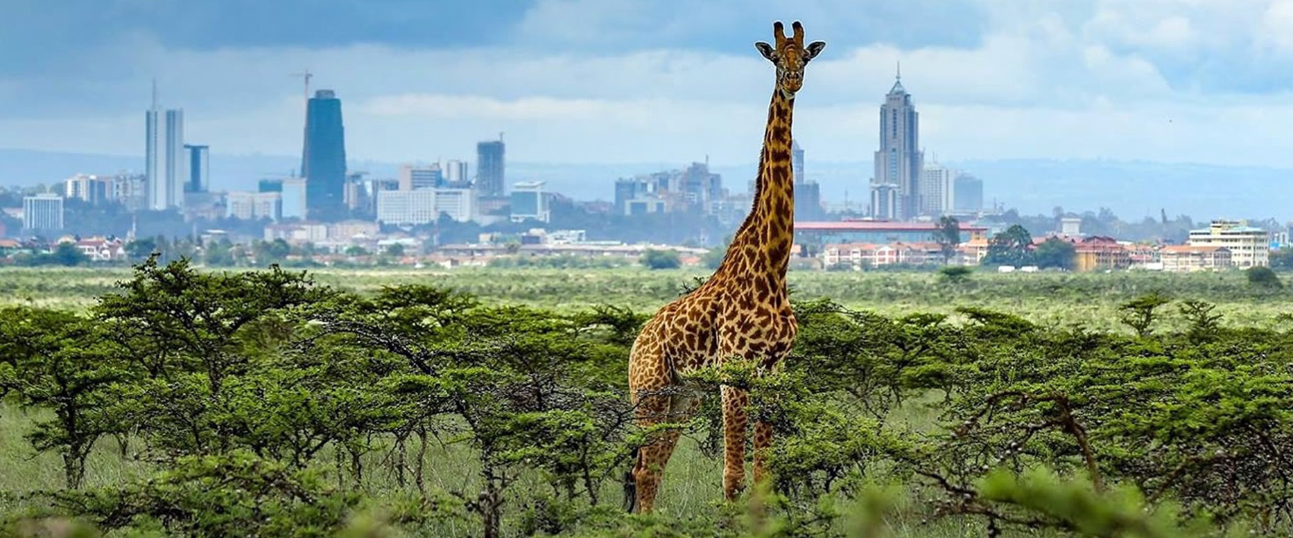 Best-of-Nairobi-City-Tour