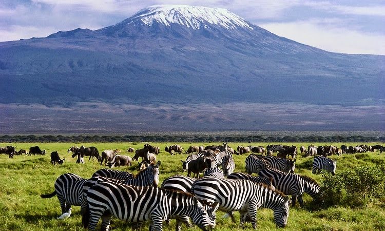 Best-of-Amboseli-National-Park-kenya