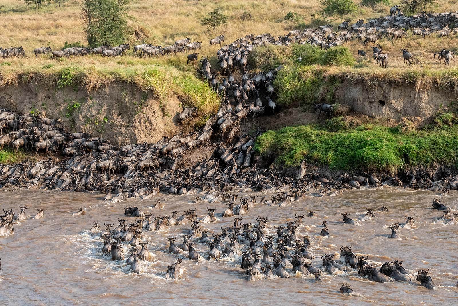 How-can-I-make-sure-to-see-a-river-crossing