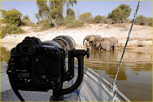 Best Wildlife Photography Safari in Kenya