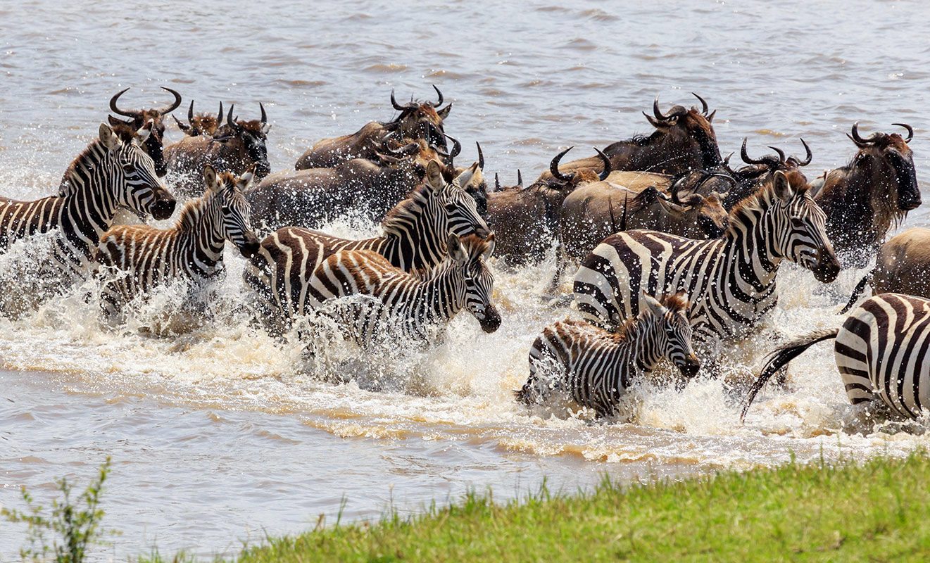 ngurumeti-river-migration-safari
