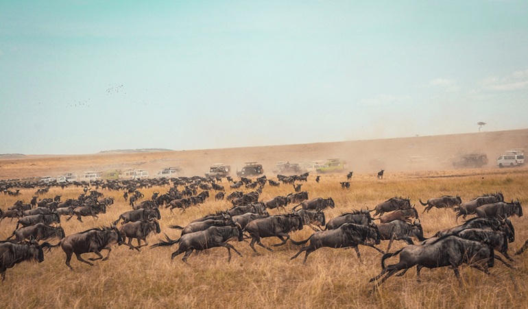3 Days Kenya Masai Mara Safari Package