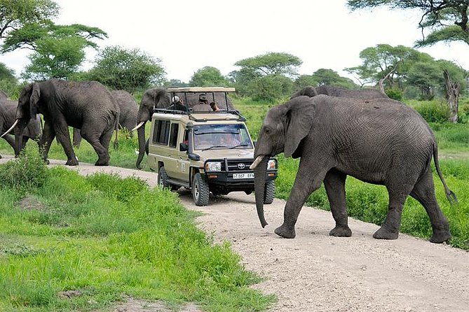 northern-tanzania-safari-serengeti