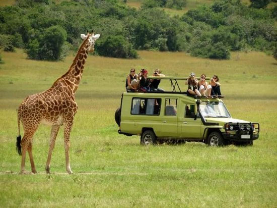 kasenyi-plains-game-drives-uganda