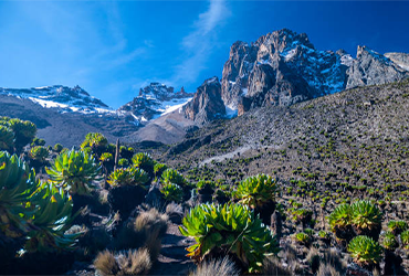 Mount Kenya snow-capped peak and alpine landscape – Kenya mountain climbing