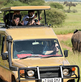 Tourists on safari game drive watching wildlife